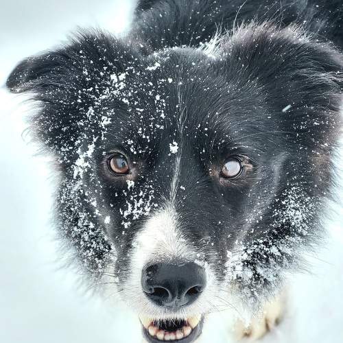 Photo #9973115