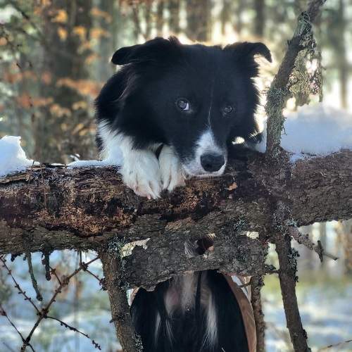 Photo #9973116