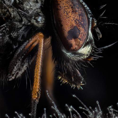 Photo #9973568