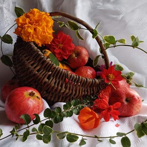 Photo #9973650