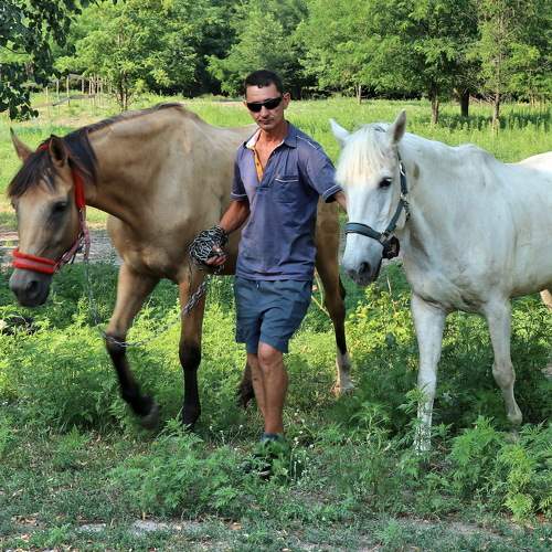 Photo #9973659