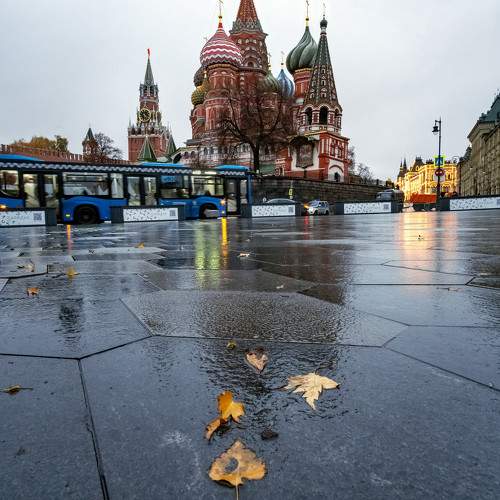 Photo #9973993