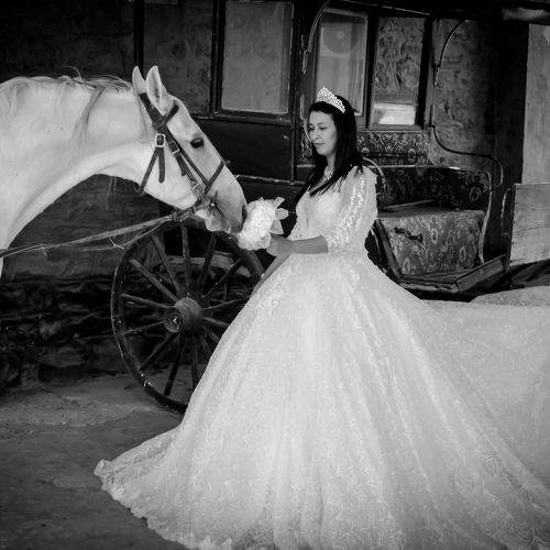 Photo #9973994
