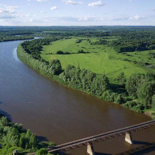 Photo #9974179