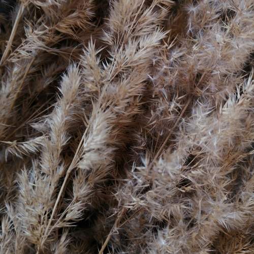 Photo #9974573