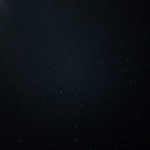 Photo #9975217