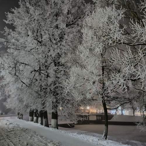 Photo #9975492