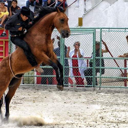 Photo #9975840