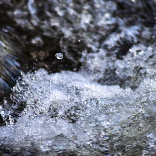 Photo #9976033