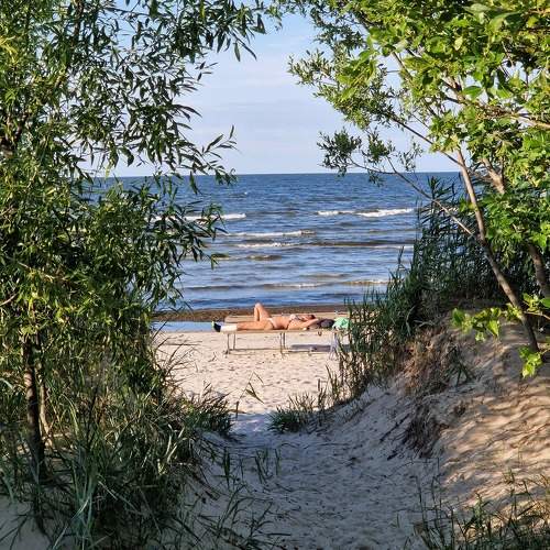 Photo #9976315