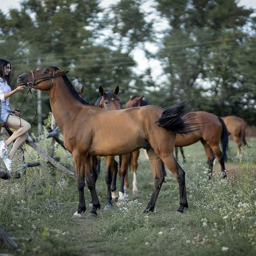 Фотография #9977120