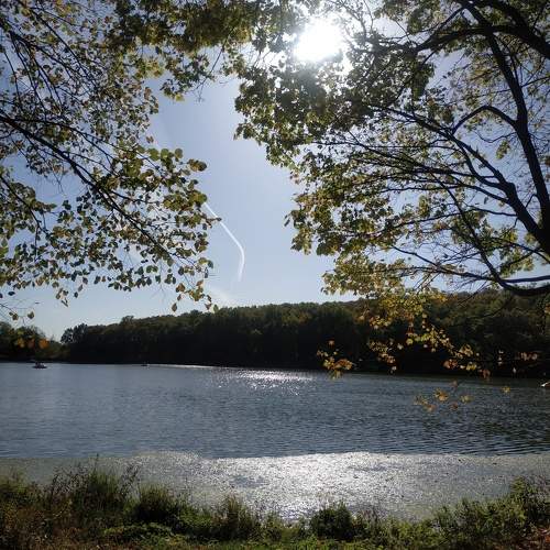 Photo #9977307