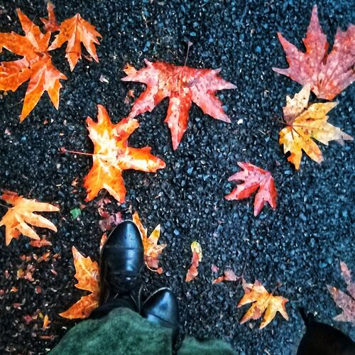 Photo #9977661