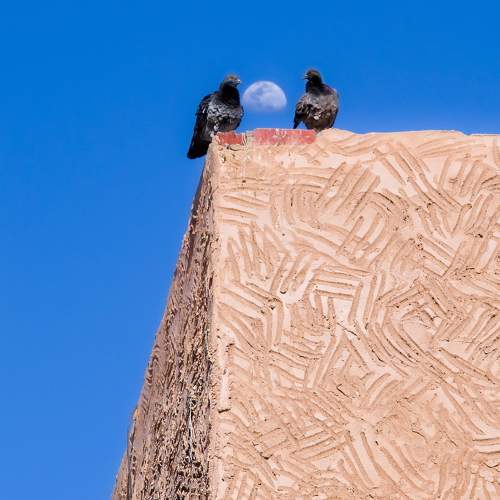 Photo #9977896