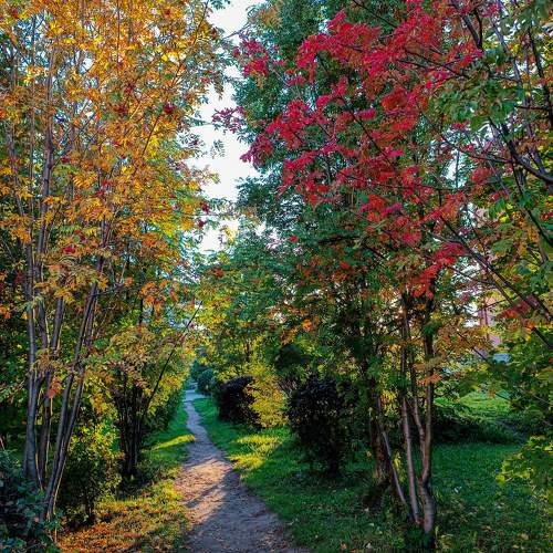 Photo #9977925