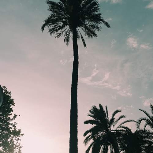 Photo #9977946