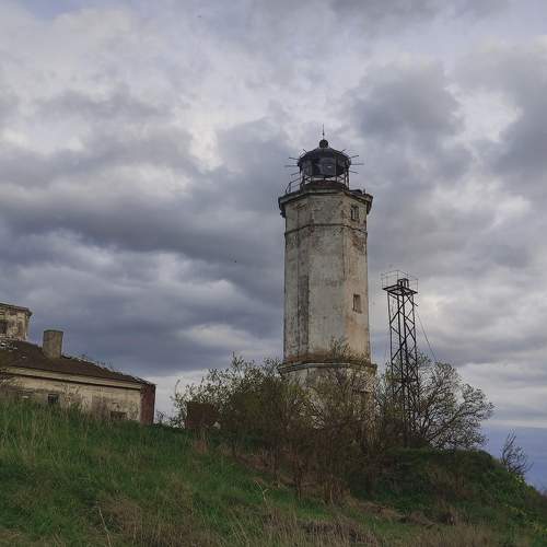 Photo #9978439