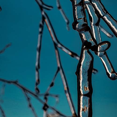 Photo #9978460