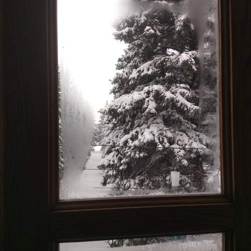 Зимняя тишина (winter silence)