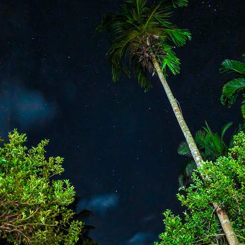 Photo #9979485