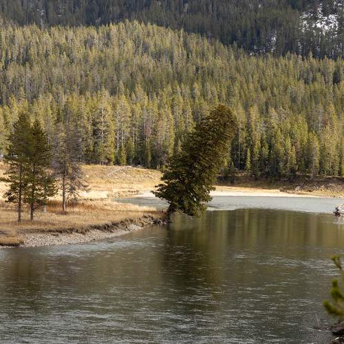 Photo #9979540