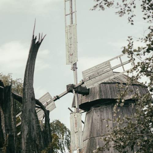 Photo #9979937