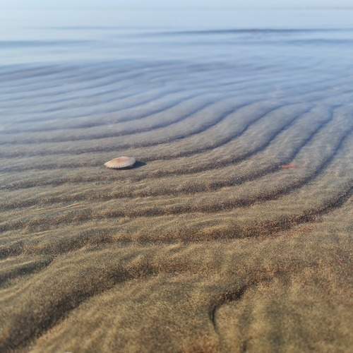 Photo #9979991
