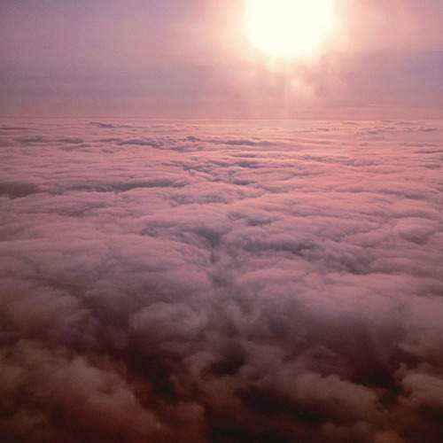 Photo #9980133