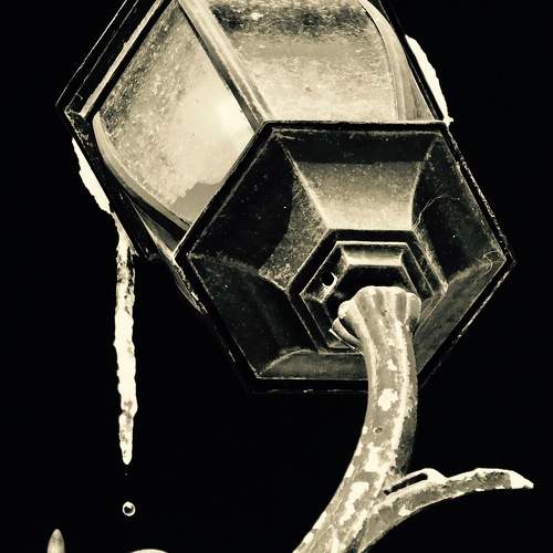 Photo #9980194