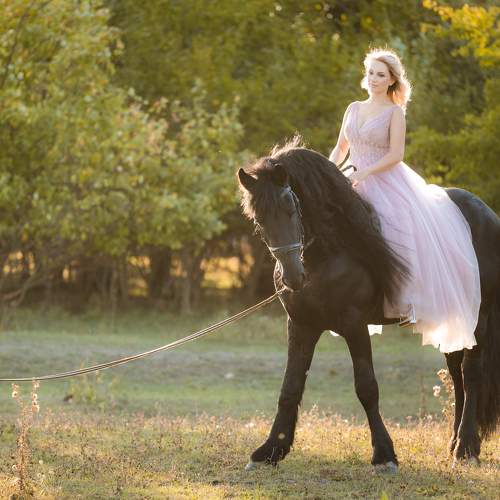 Фотография #9980282