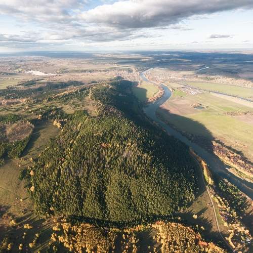 Photo #9980518