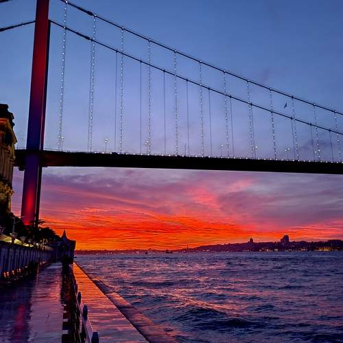 Photo #9980537