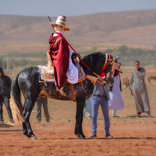 Photo #9980563
