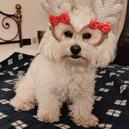 Photo #9980851