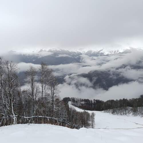 Photo #9980974