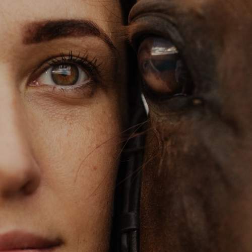 Photo #9981169