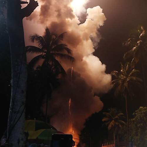 Photo #9981306