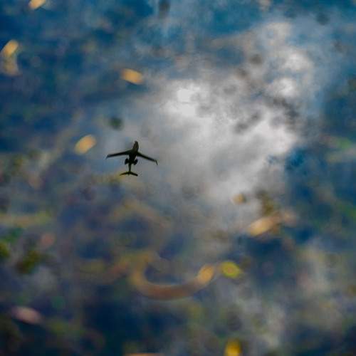 Photo #9981419