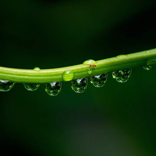 Photo #9981449