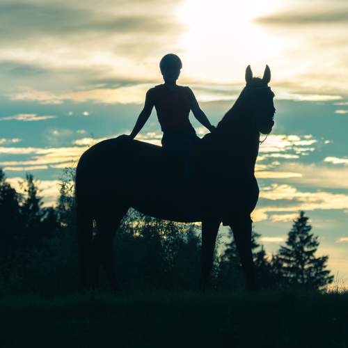 Photo #9981722