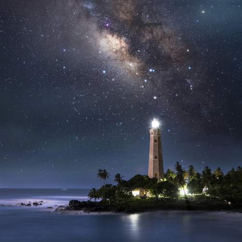 Фотография #9981794