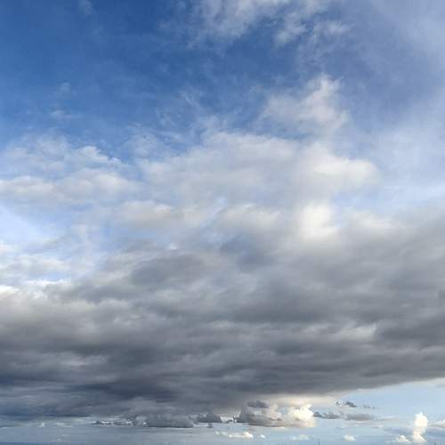 Photo #9981971
