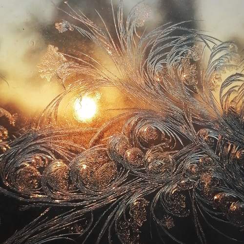 Photo #9981997