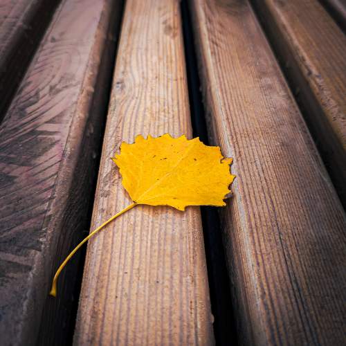 Photo #9982130