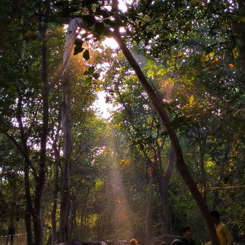 Photo #9982496