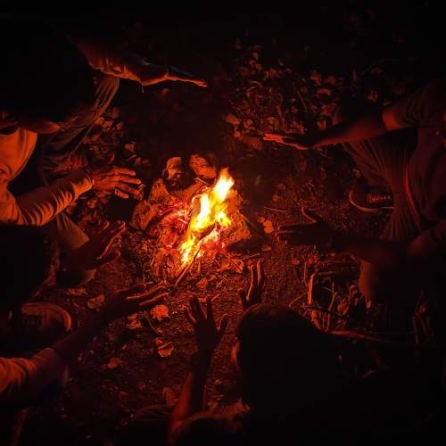 Photo #9982497