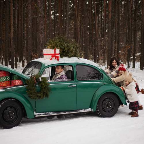 Photo #9982664