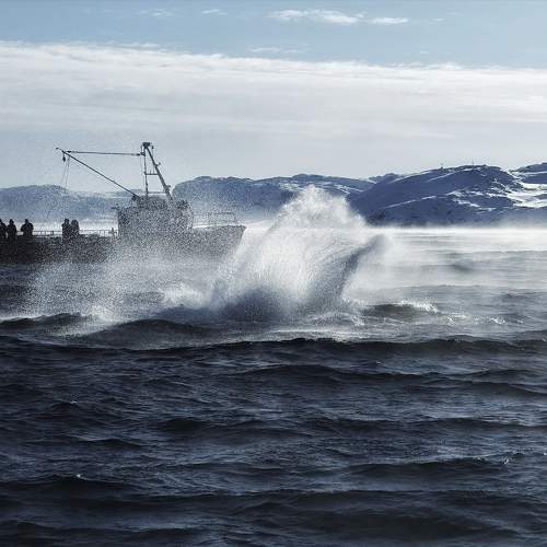 Photo #9982930