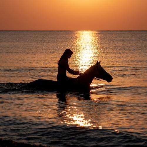 Photo #9983241