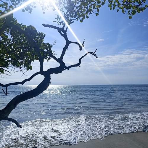 When the Ocean and Sky Meet